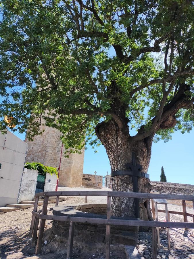 Casa Do Conselheiro Villa Freixo de Espada a Cinta Ngoại thất bức ảnh