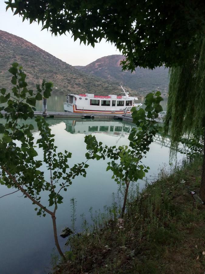 Casa Do Conselheiro Villa Freixo de Espada a Cinta Ngoại thất bức ảnh